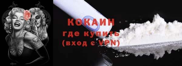 соль ск Арсеньев