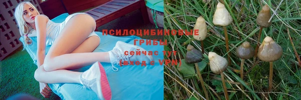 spice Баксан